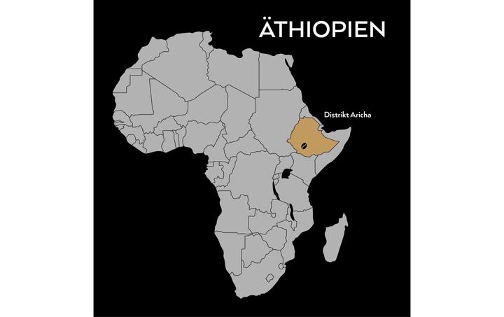Produktbild Turm Kaffee Bio&Fair Ethiopia Sidamo (250 g, Mittlere Röstung)
