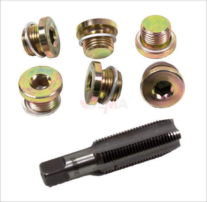 Actual product image Dema Repair set for oil drain thread 13 pcs. | M20 x 1.5