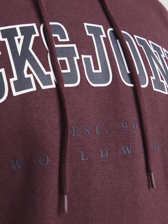 Produktbild Jack & Jones Jjecaleb Varsity Sweat Hood Noos Pls (3XL)