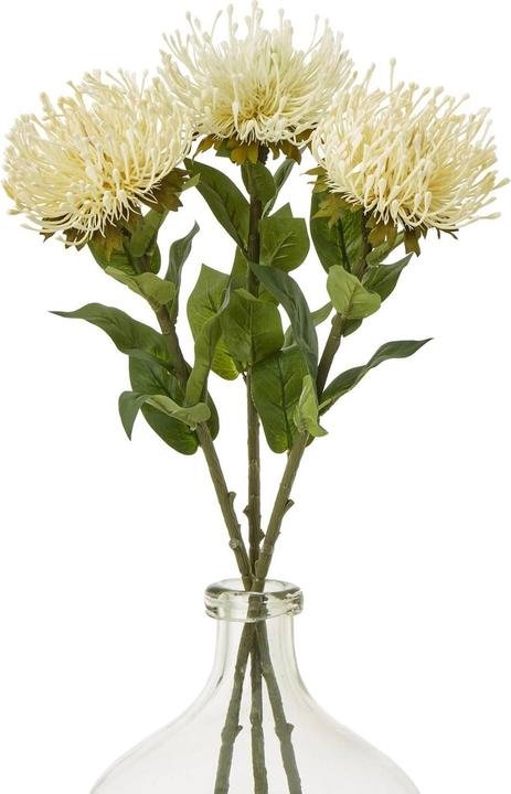 Actual product image Hill Interiors Protea Lorea Stem Artificial Plant (73 cm)