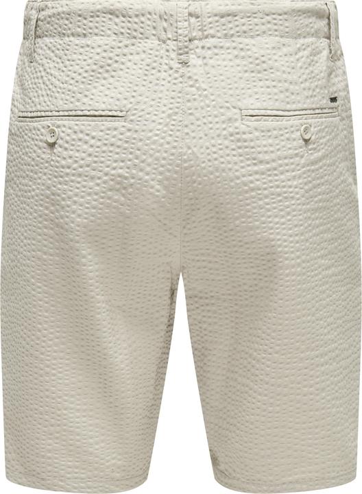 Actual product image Only & Sons Regular fit shorts Shorts (S)