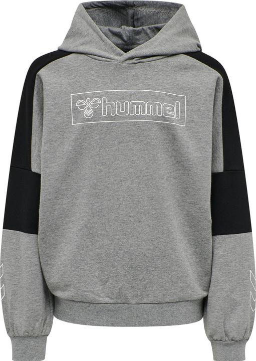 Immagine prodotto hummel Felpa Con Cappuccio Boxline (122)