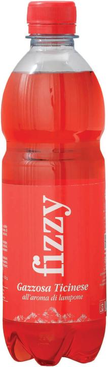 Immagine prodotto Fizzy Tessiner (1 x 50 cl)