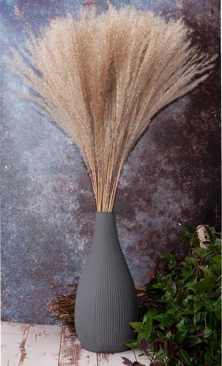 Actual product image Natura Punto Pampas grass (Pampas grass)