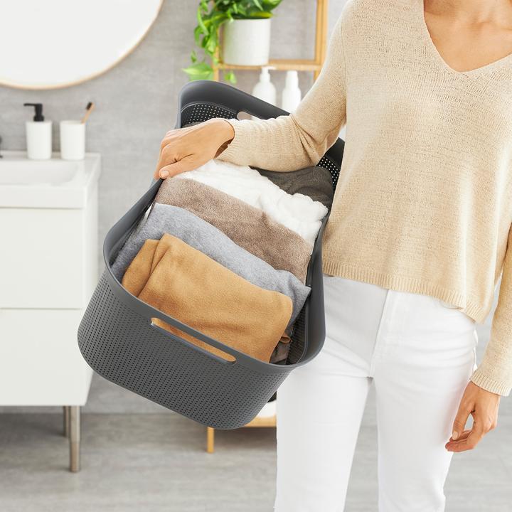 Image du produit Rotho Brises (41 l)