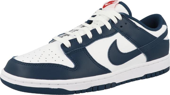 Actual product image Nike Dunk Low Retro - 63319 (48.5)