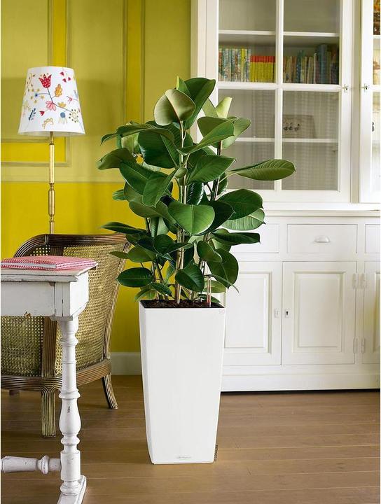 Image du produit Lechuza Cubico Color (39.50 cm)