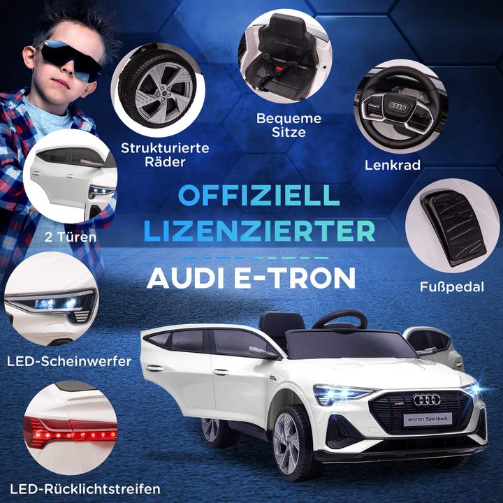 Produktbild Jamb Audi e-tron (12 V)