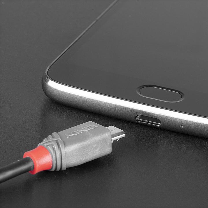 Immagine prodotto Lindy Anthra Line (2 m, USB 2.0)