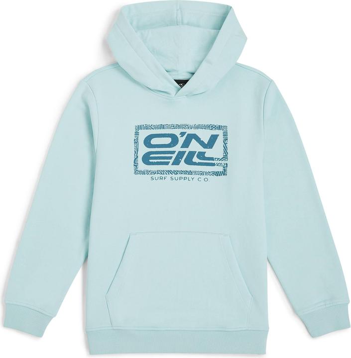 Produktbild O'Neill Logo Hoodie (164)