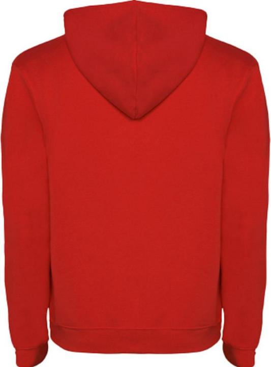 Image du produit Alpinia - Sweat à capuche URBAN - Homme (XL)