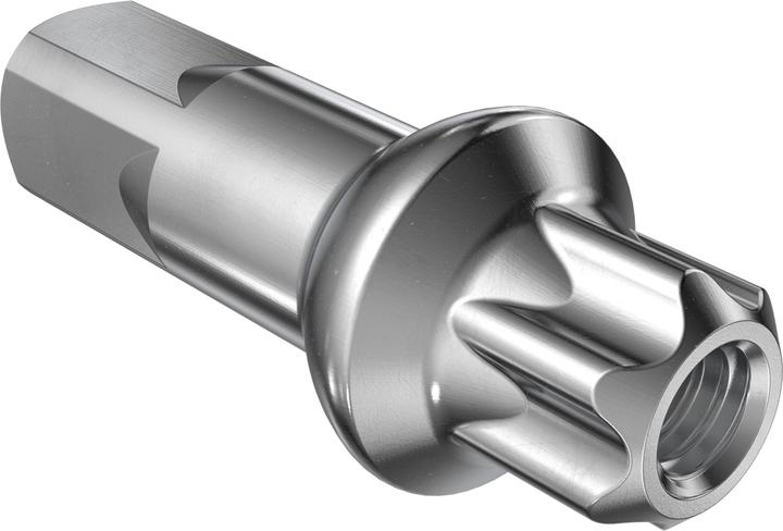 DT Swiss Squorx Nippel Messing PL 100Stk.