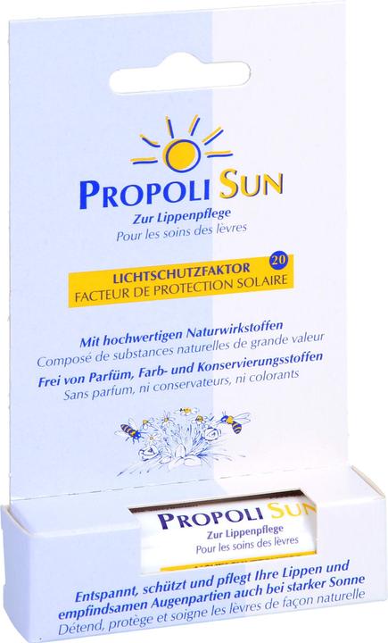 Immagine prodotto Remmele Balsam Stift SF20 (Cura matita)