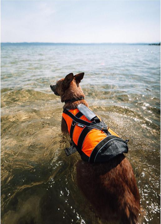 Image du produit Non-Stop Dogwear Gilet de sauvetage Safe Life Jacket M (4, Gilet de sauvetage pour chien)