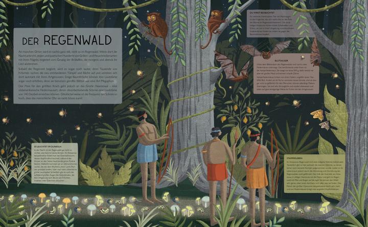 Image du produit Die Nacht ist voller Wunder (Allemand, Nicola Edwards, 2019)