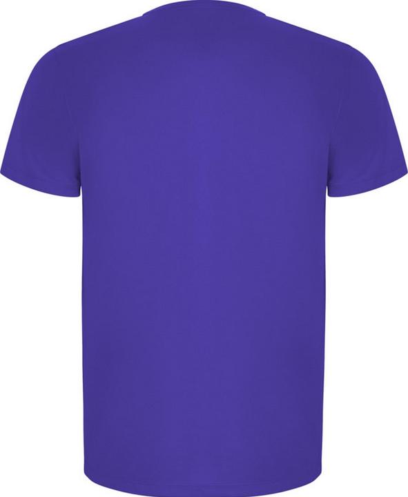 Actual product image Alpinia Mens Imola Short-Sleeved Sports T-Shirt (S)
