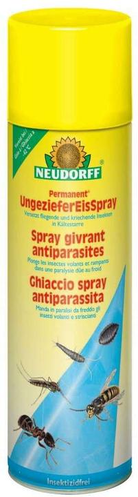 Image du produit Neudorff Insektenspray Permanent EisSpray 500 ml 1 Stück (500 ml)