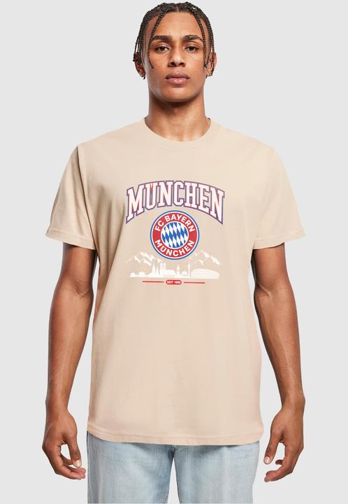 Image du produit FC Bayern München FC Bayern Skyline grey T-shirt col rond - 115513 (L)