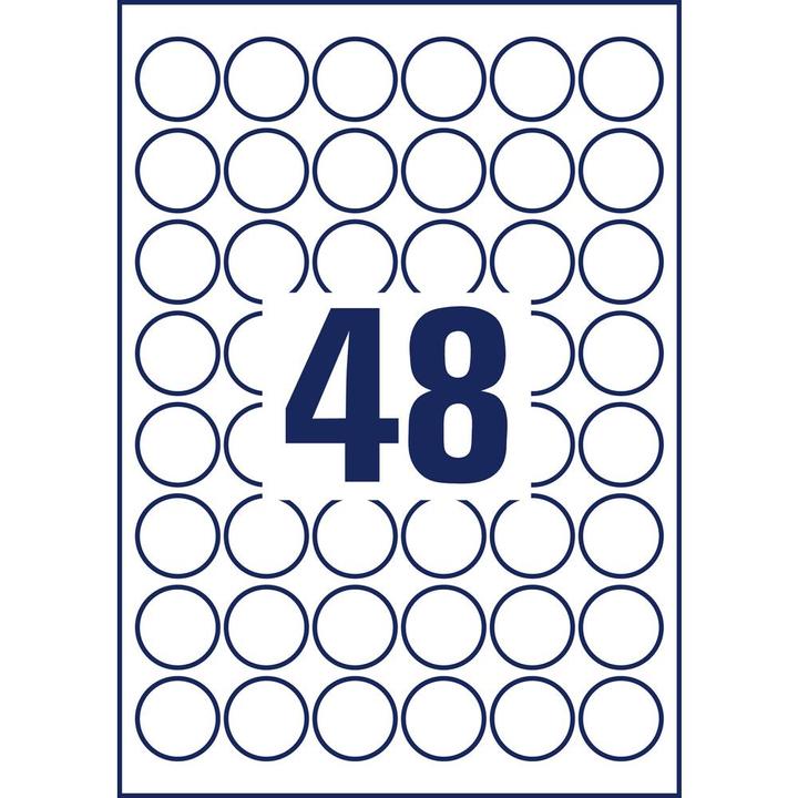Actual product image Avery Weatherproof labels