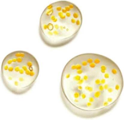 Produktbild L'Occitane Immortelle Overnight Reset (Serum, 15 ml, Nacht)