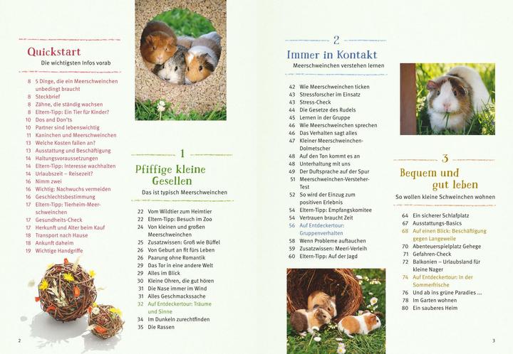 Produktbild Neugierige Meerschweinchen - So fühlen sie sich wohl (Deutsch, Immanuel Birmelin, 2015)