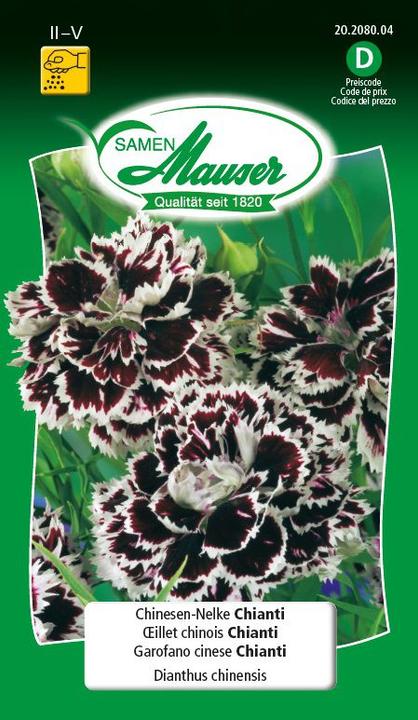 Produktbild Samen Mauser Chinesen Nelke Chianti (Blumensamen)
