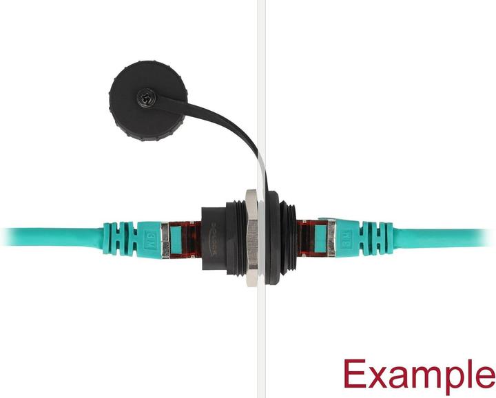 Produktbild Delock RJ45 Cat.6A Einbaubuchse mit Staubschutzkappe (Netzwerk Kupplung)