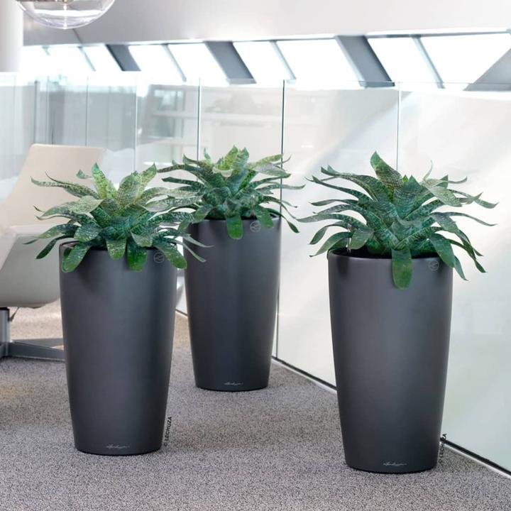 Produktbild Lechuza Rondo (40 cm)