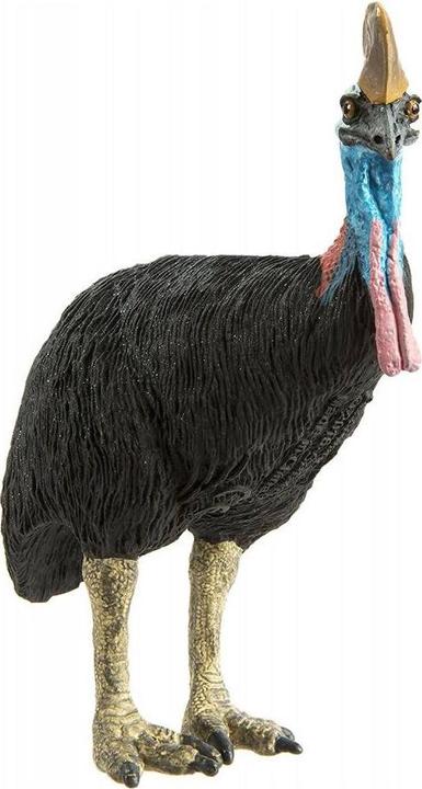 Actual product image Safari Cassowary