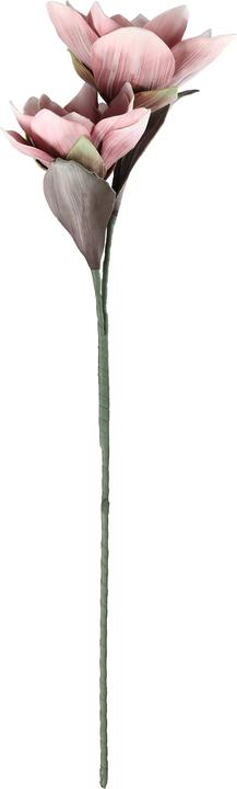 Actual product image EGLO LIVING Molave (83 cm)