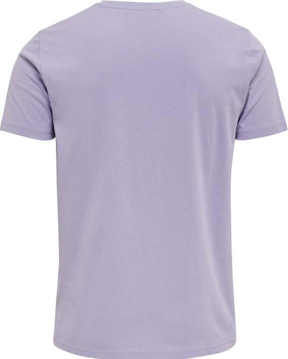 Actual product image hummel Legacy T-Shirt (M)