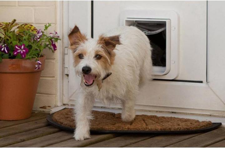 Actual product image SureFlap XXL cat door (Microchip Cat Flap)