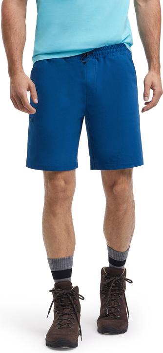 Falke TK Shorts m