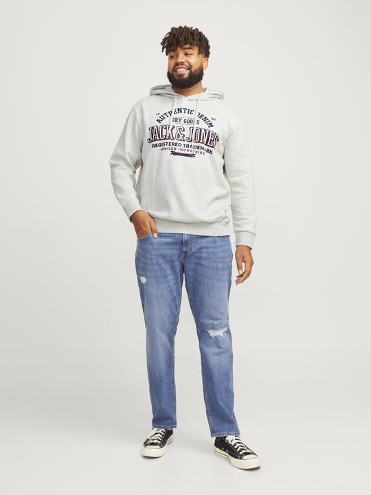 Actual product image Jack & Jones JJELOGO SWEAT HOOD 2 COL 24/25 NOOS PLS (5XL)