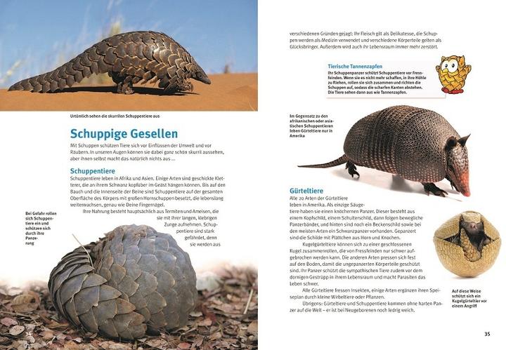 Produktbild Entdecke die skurrilsten Tiere der Welt (Deutsch, Leonie Proscurcin, 2023)