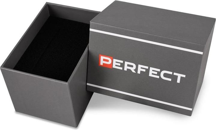 Actual product image MEN'S CH05L - CHRONOGRAPH (zp353g) + BOX (205 mm)