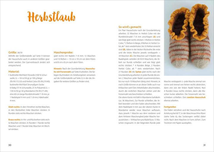 Produktbild Hausschuhe stricken & filzen (Deutsch, Sabine Abel, Karoline Hoffmeister, Annette Diepolder, 2023)