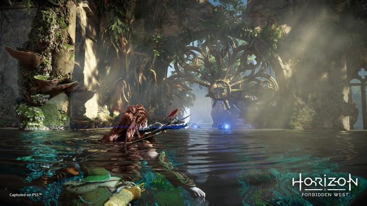 Image du produit Sony Horizon Forbidden West (PS5, EN)
