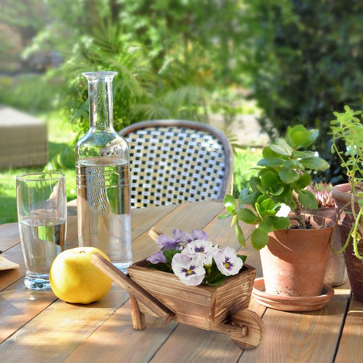 Actual product image Relaxdays Plant wheelbarrow