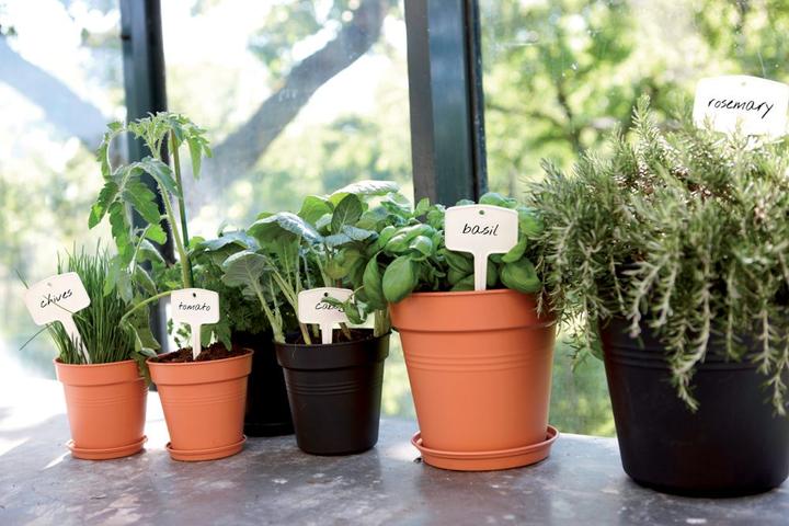 Produktbild Elho Green Basics (30 cm)