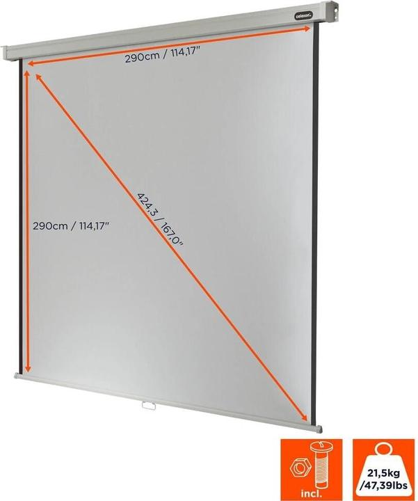 Image du produit Celexon Rollo Professional, toile, 1:1 (167", 1:1)