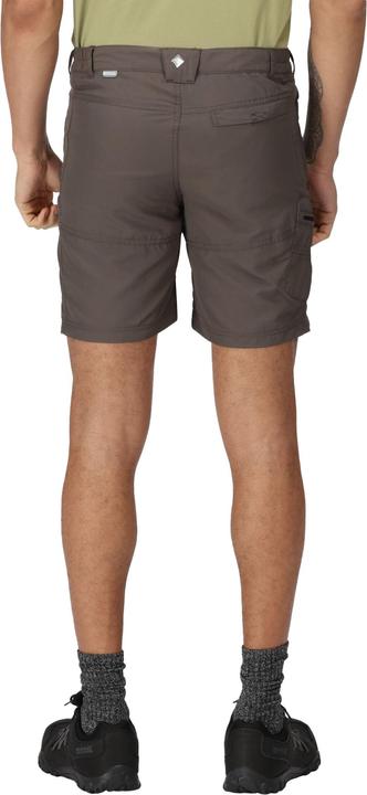 Actual product image Regatta Leesville Ii Shorts Hiking (56)
