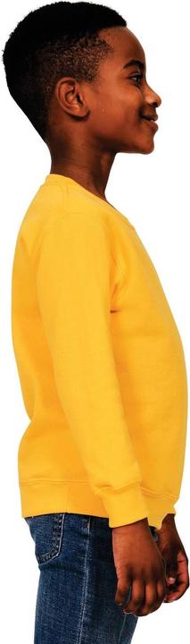 Actual product image Casual Classics Childrens/Kids Blended Ringspun Cotton Sweatshirt (104)