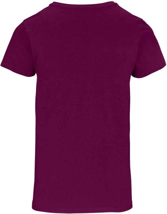 Actual product image Sols Womens/Ladies Crusader Organic T-Shirt (S)
