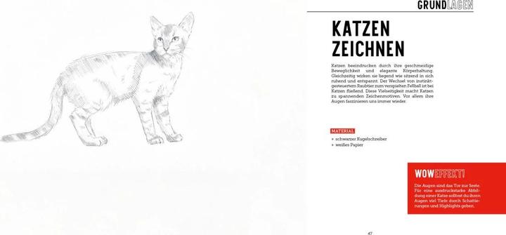 Image du produit Tiere zeichnen (2 Bücher im Bundle)