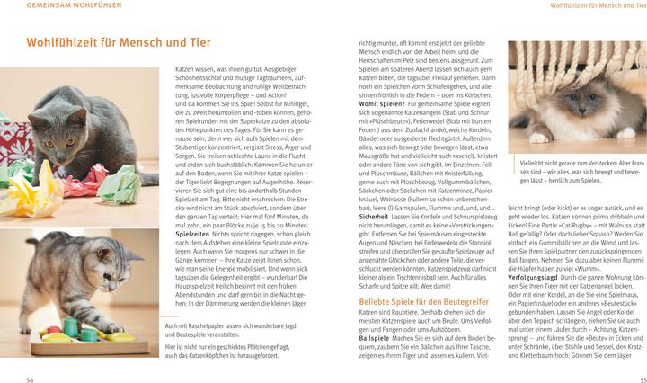 Produktbild Katzen (Deutsch, Brigitte Eilert-Overbeck, 2016)