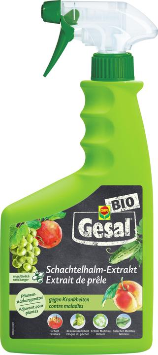Image du produit Gesal Extrait de prêle liq (Champignons)