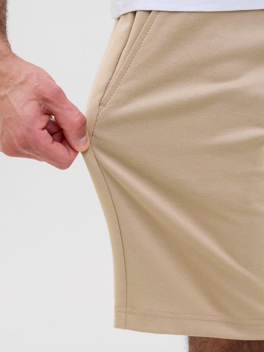 Produktbild Jack & Jones Regular Fit Slim Fit Shorts Slim Fit Shorts (XS)