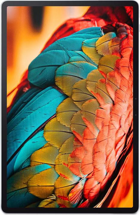 Actual product image Lenovo Tab P11 Pro (4G, 11.50", 128 GB, Black)