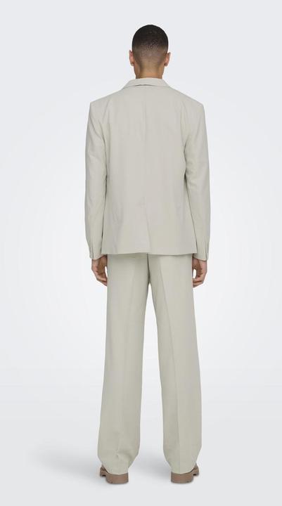 Image du produit Only & Sons Blazer classique (44)